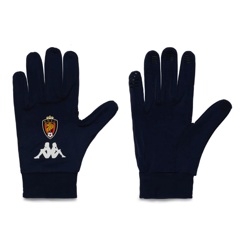 AVES gloves